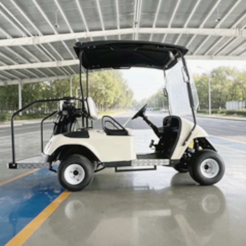 Kereta Golf Listrik Baterai Li - Golf Bag Stand Cart ulasan dan harga