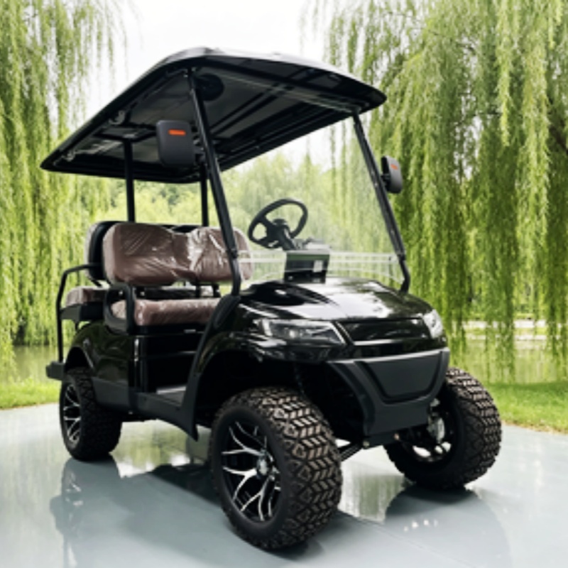 Mobil Golf Listrik 2 Kursi Lit - Golf Bag Stand Cart ulasan dan harga